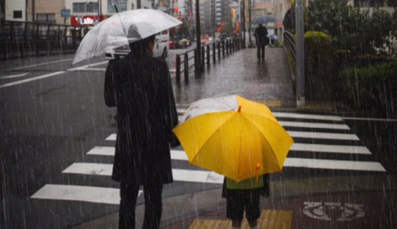 adult and child with umbrellas at a pedestrian crossing on a very rainy day